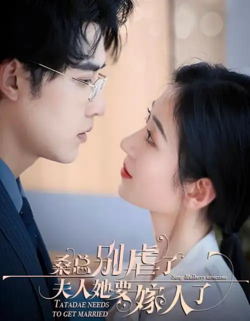 热播电视剧长夜将明